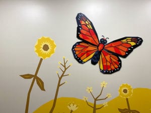 Butterfly Design on Wall