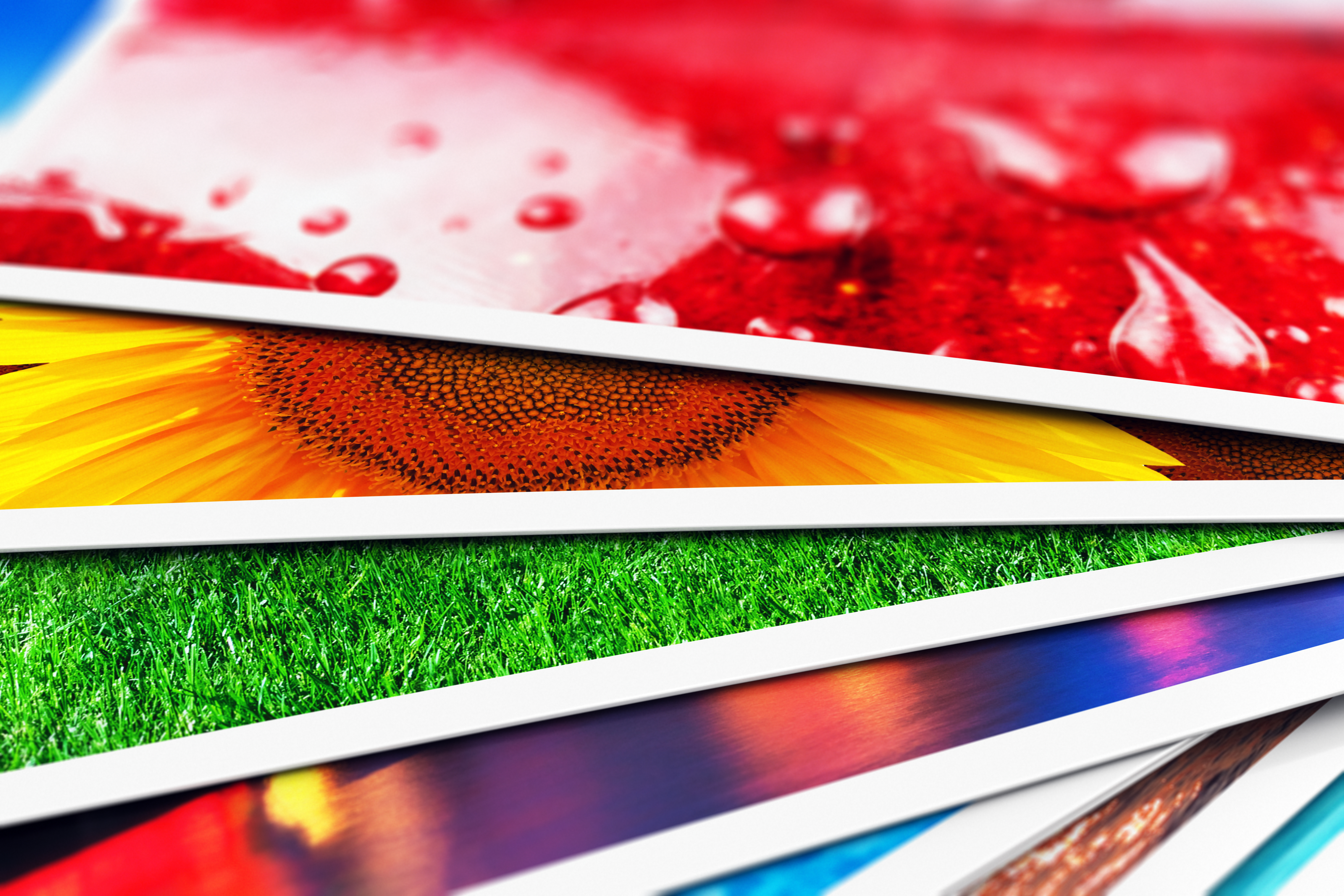 An image of several photos with vibrant colors.
